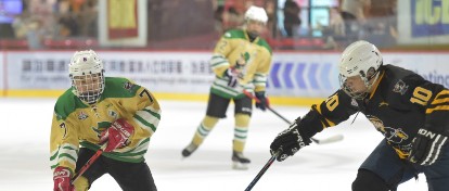 Hockey players during the game