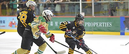 Hockey players at the Hockey League